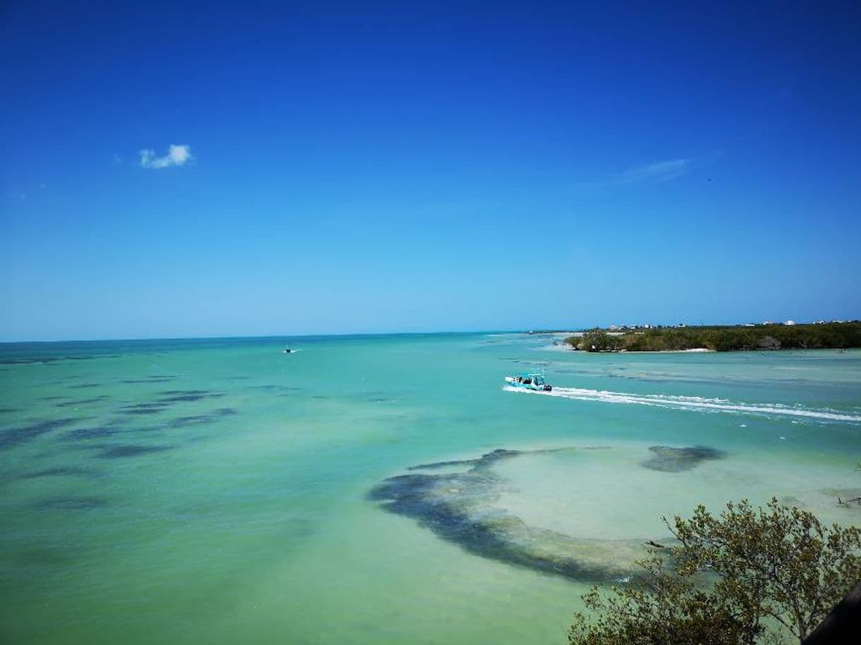 Lugar Isla de Holbox