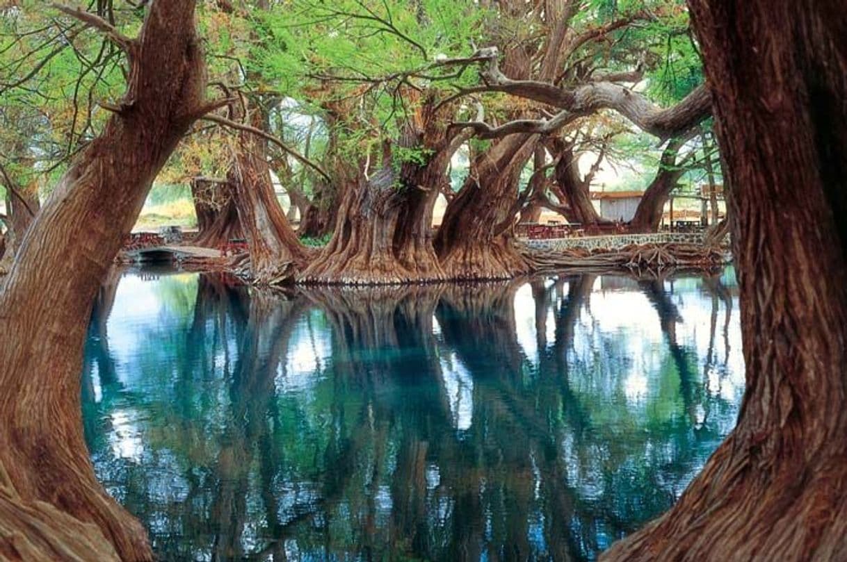 Lugar Lago de Camécuaro