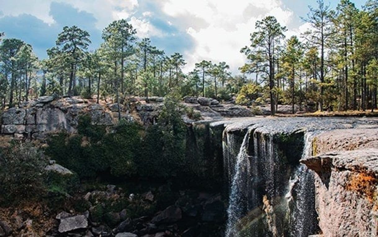 Lugar Parque Natural Mexiquillo