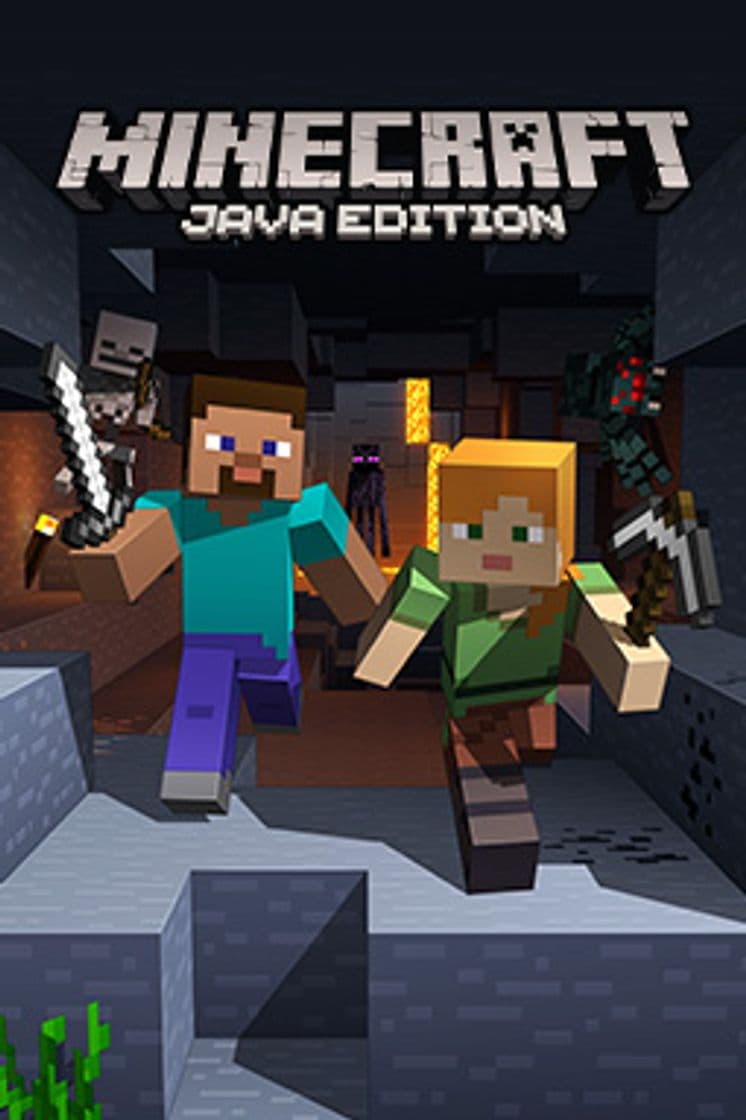 Videojuegos Minecraft: Java Edition