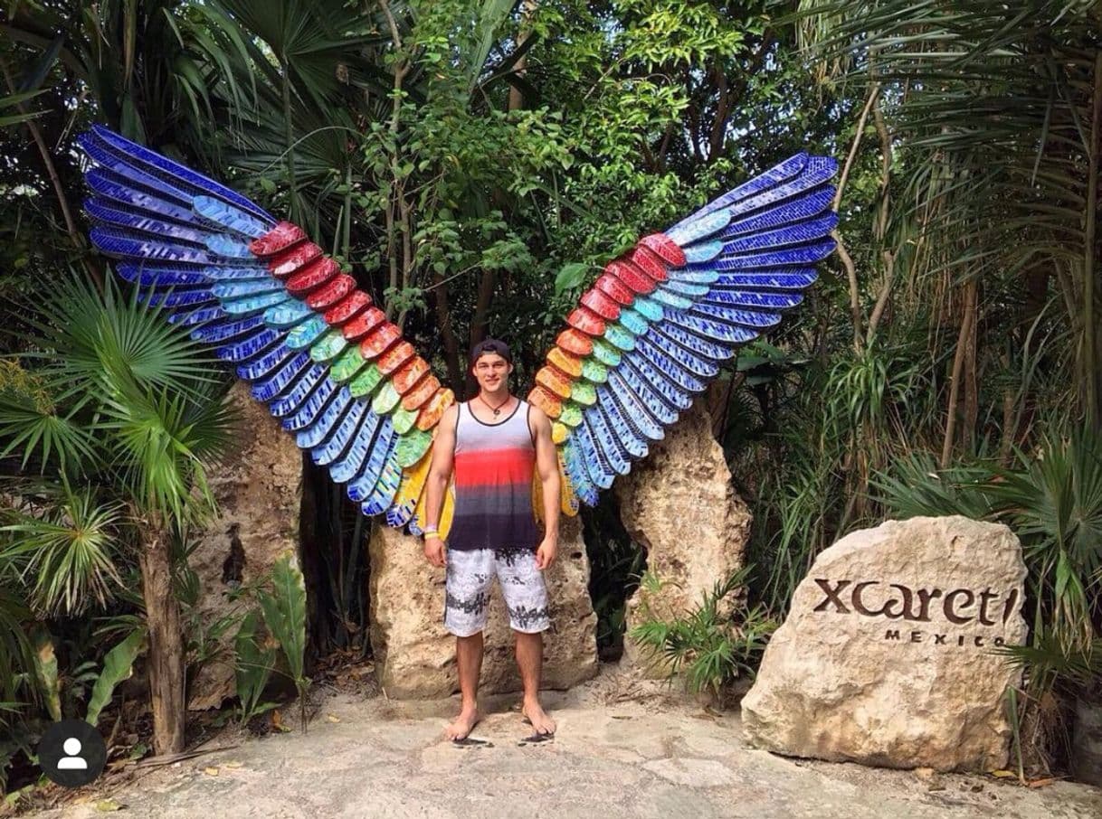 Place XCARET