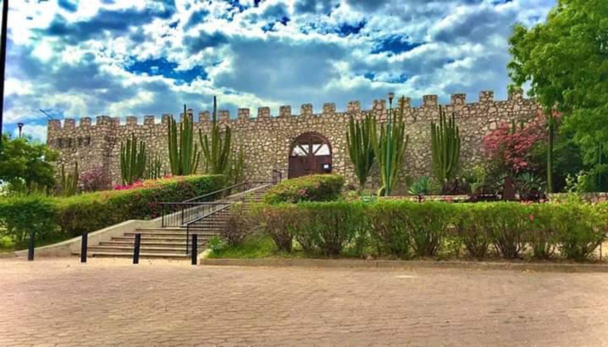 Place Museo El Fuerte