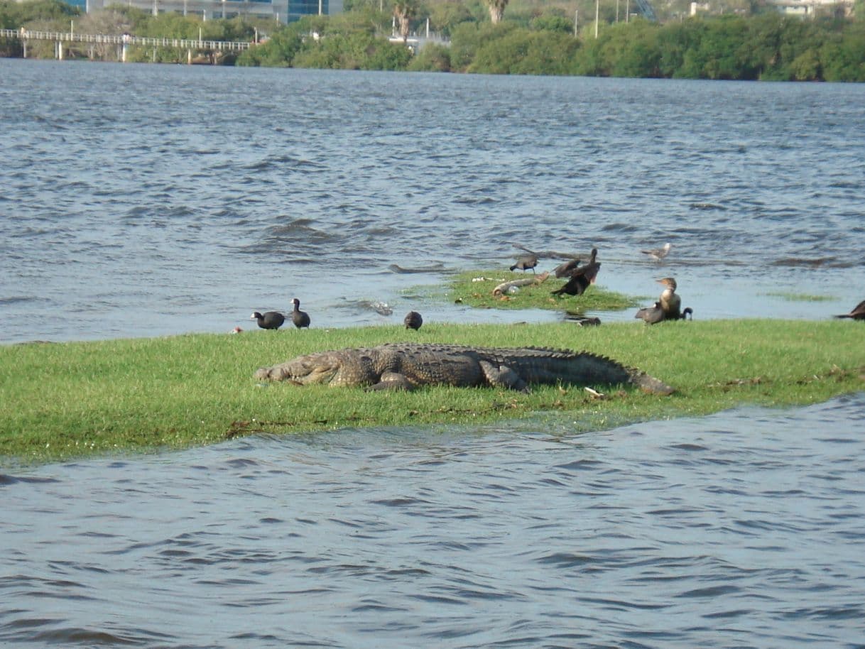 Lugar Laguna del Carpintero