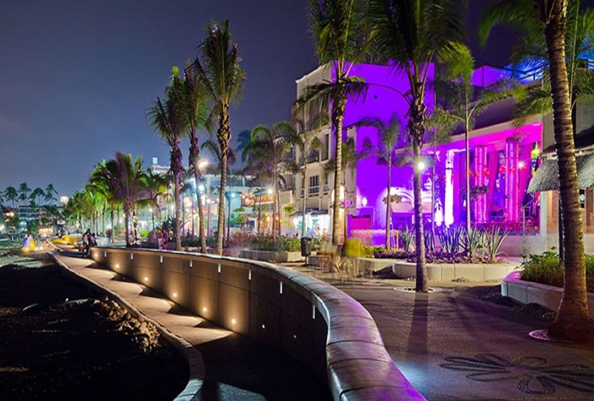 Lugar Malecon Puerto Vallarta