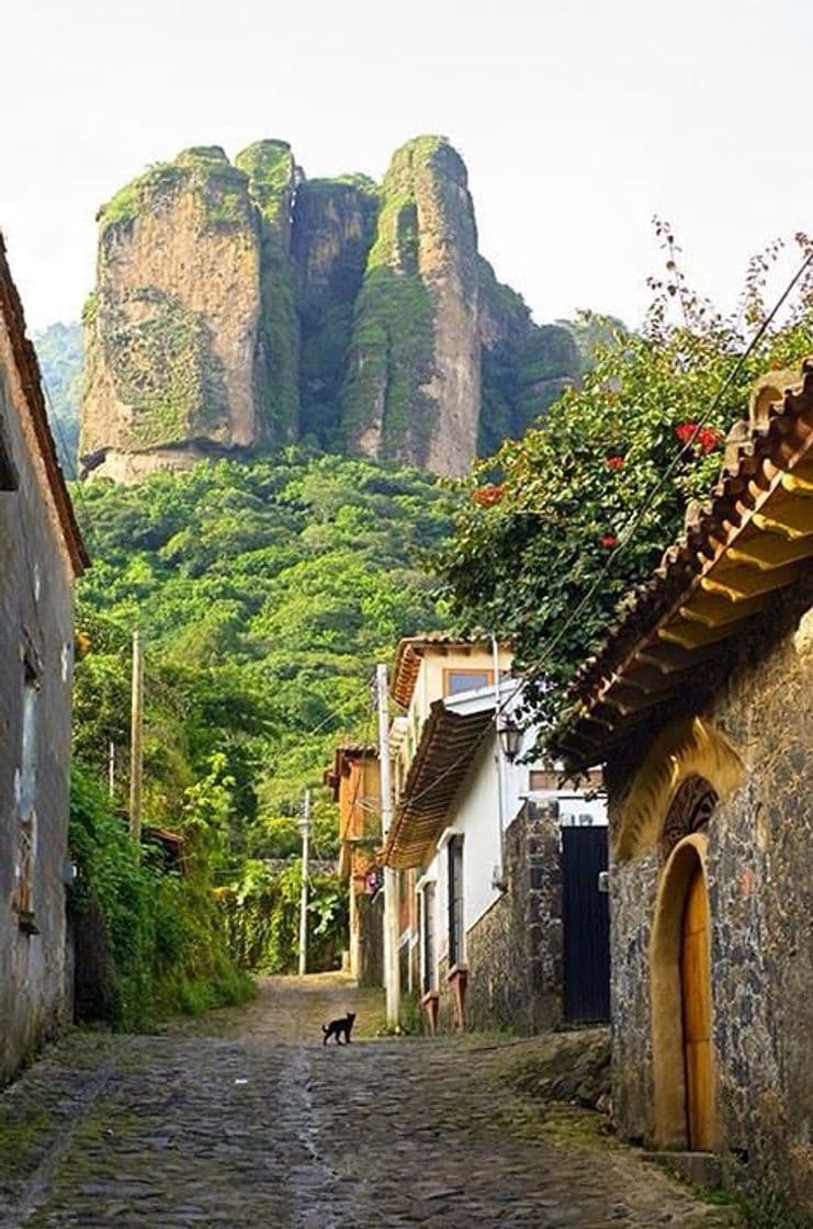 Place Calle Tepoztlán