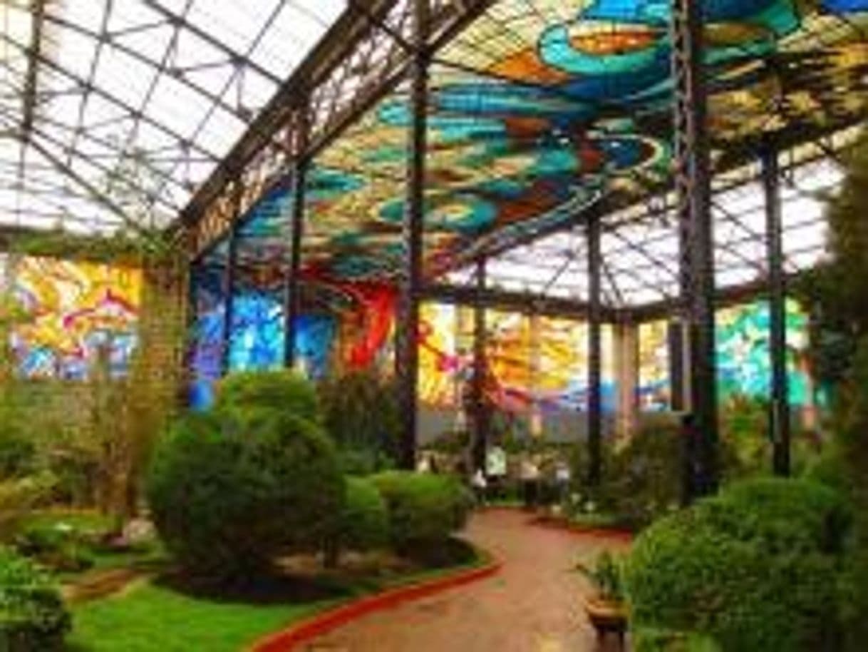 Lugar Cosmovitral Jardín botánico Toluca