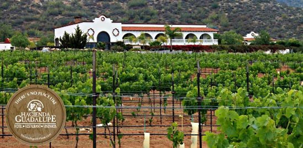 Lugar Hacienda Guadalupe