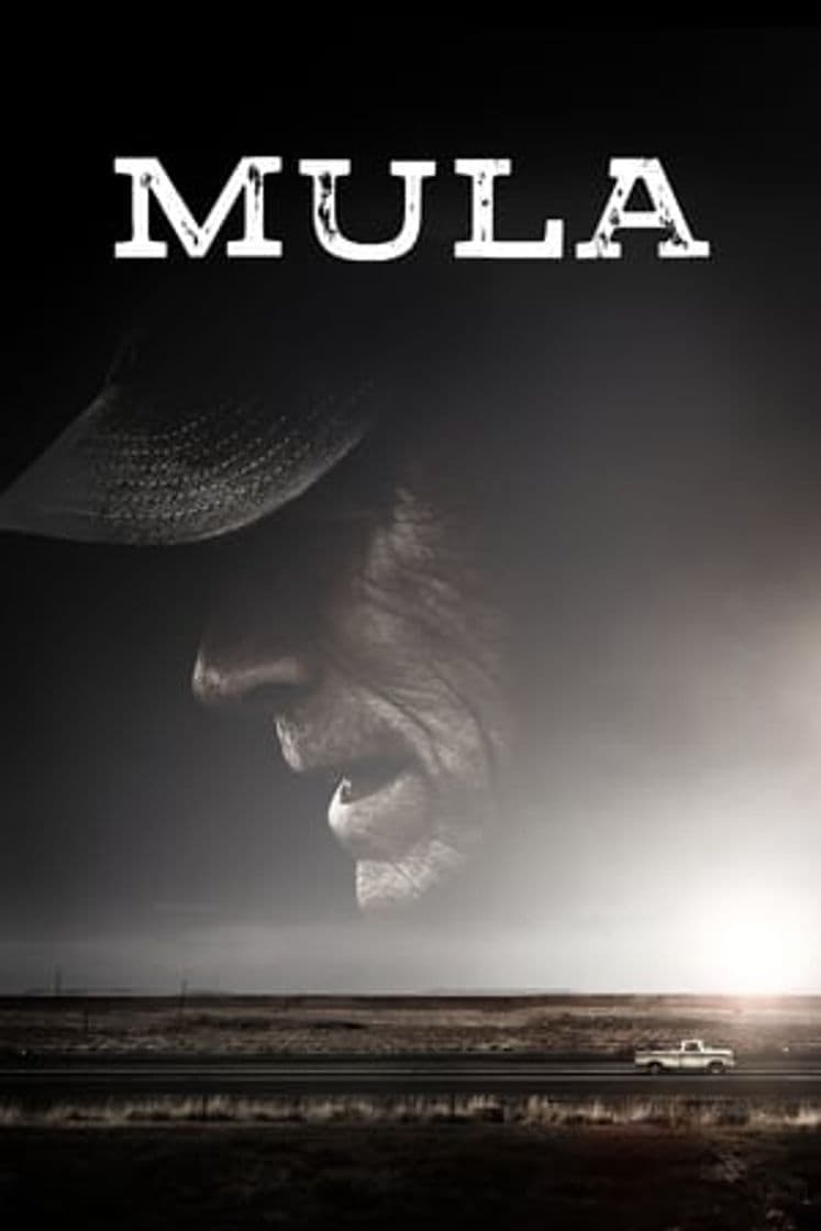 Movie The Mule