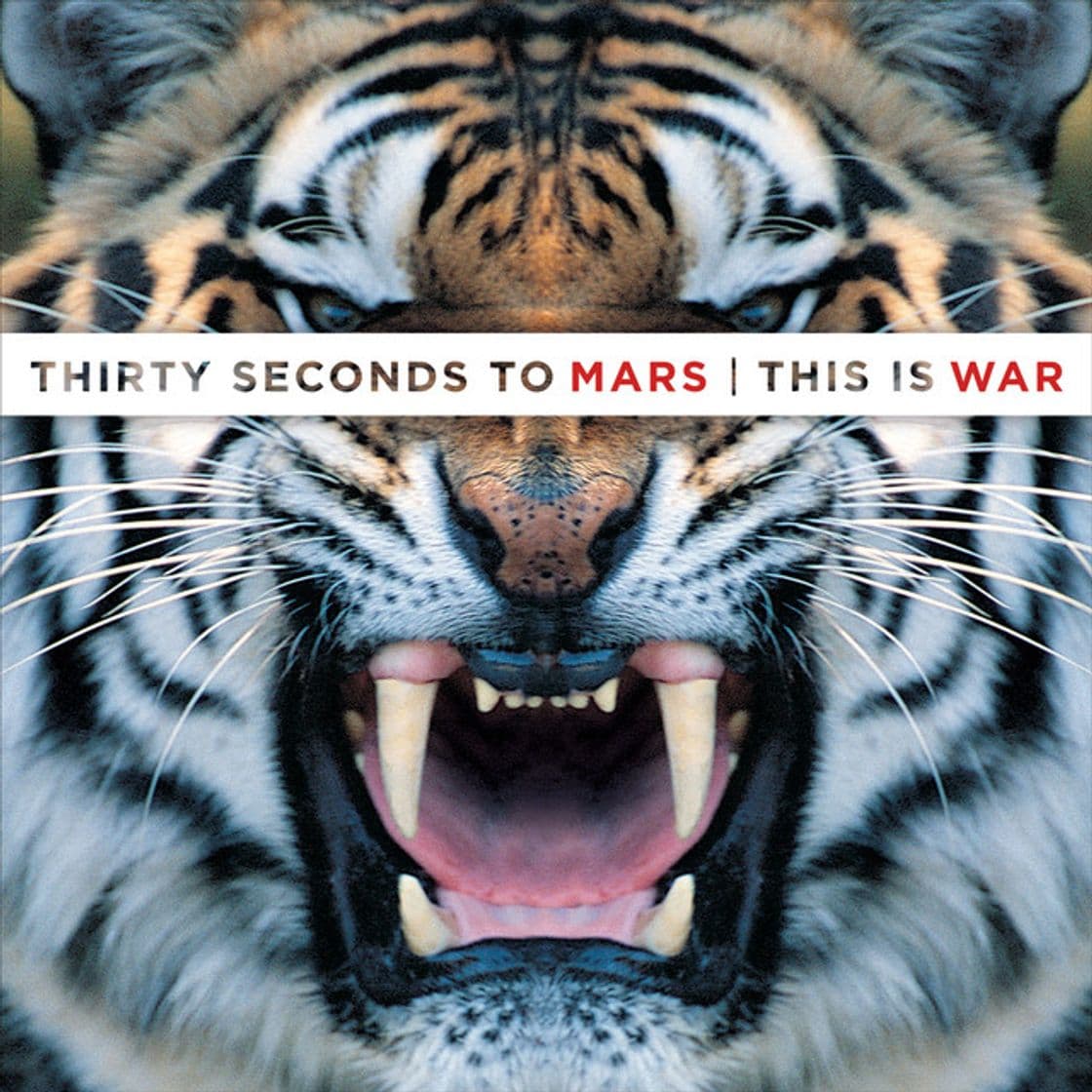 Music This Is War