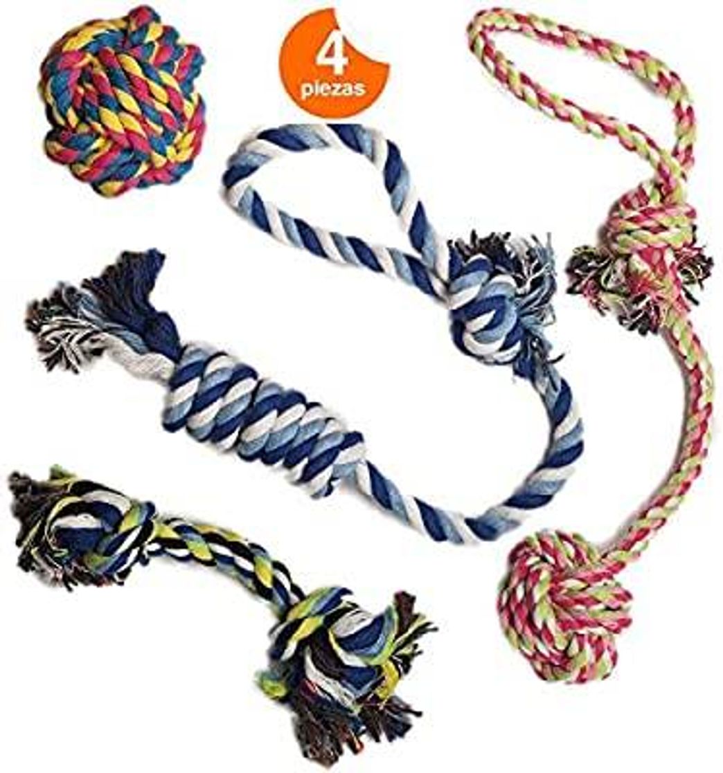 Fashion Set de 4 piezas, cuerdas para perros 4 en 1