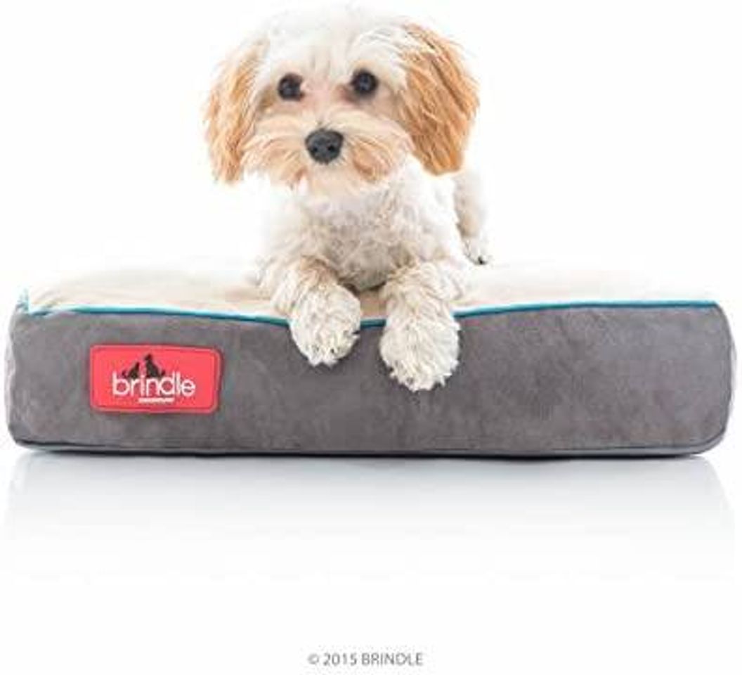 Fashion Cama para mascotas, memory foam