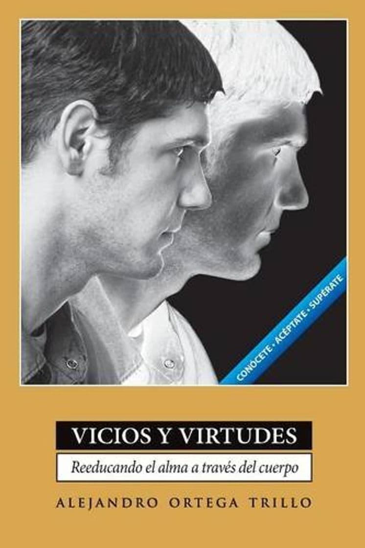 Book Vicios y Virtudes: Reeducando el Alma A Traves del Cuerpo