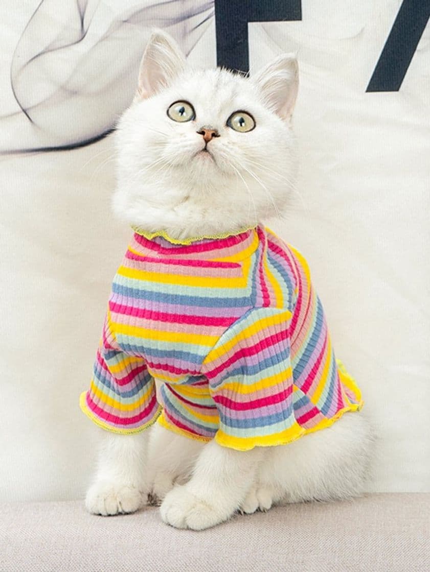 Moda Camiseta de gato de rayas 🐈 ❤️