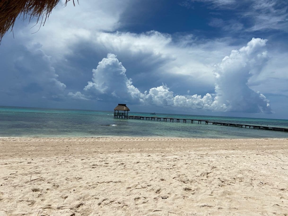 Lugar The Grand Mayan at Vidanta Riviera Maya