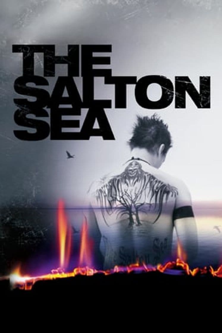 Película The Salton Sea