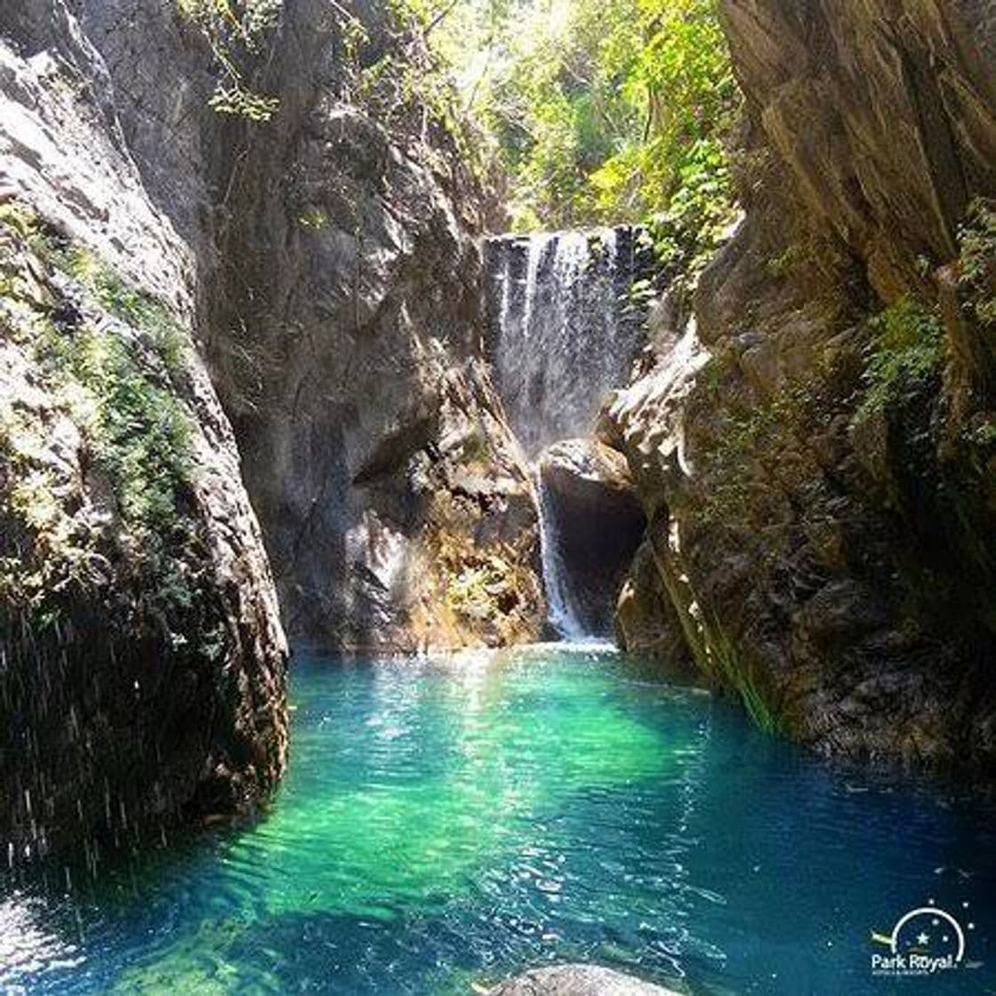 Lugar Cascada Palo Maria