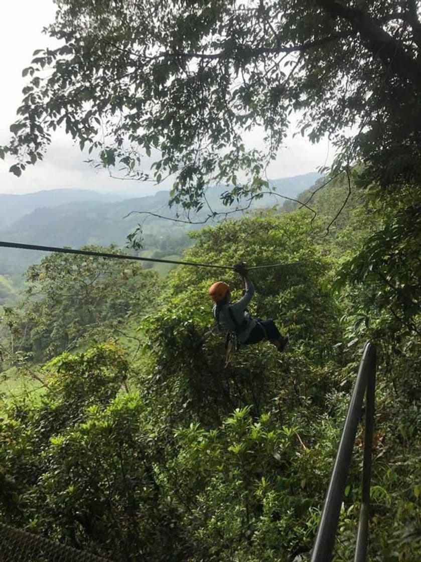 Lugar Monteverde Extremo