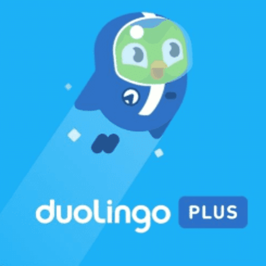 Fashion Duolingo plus 