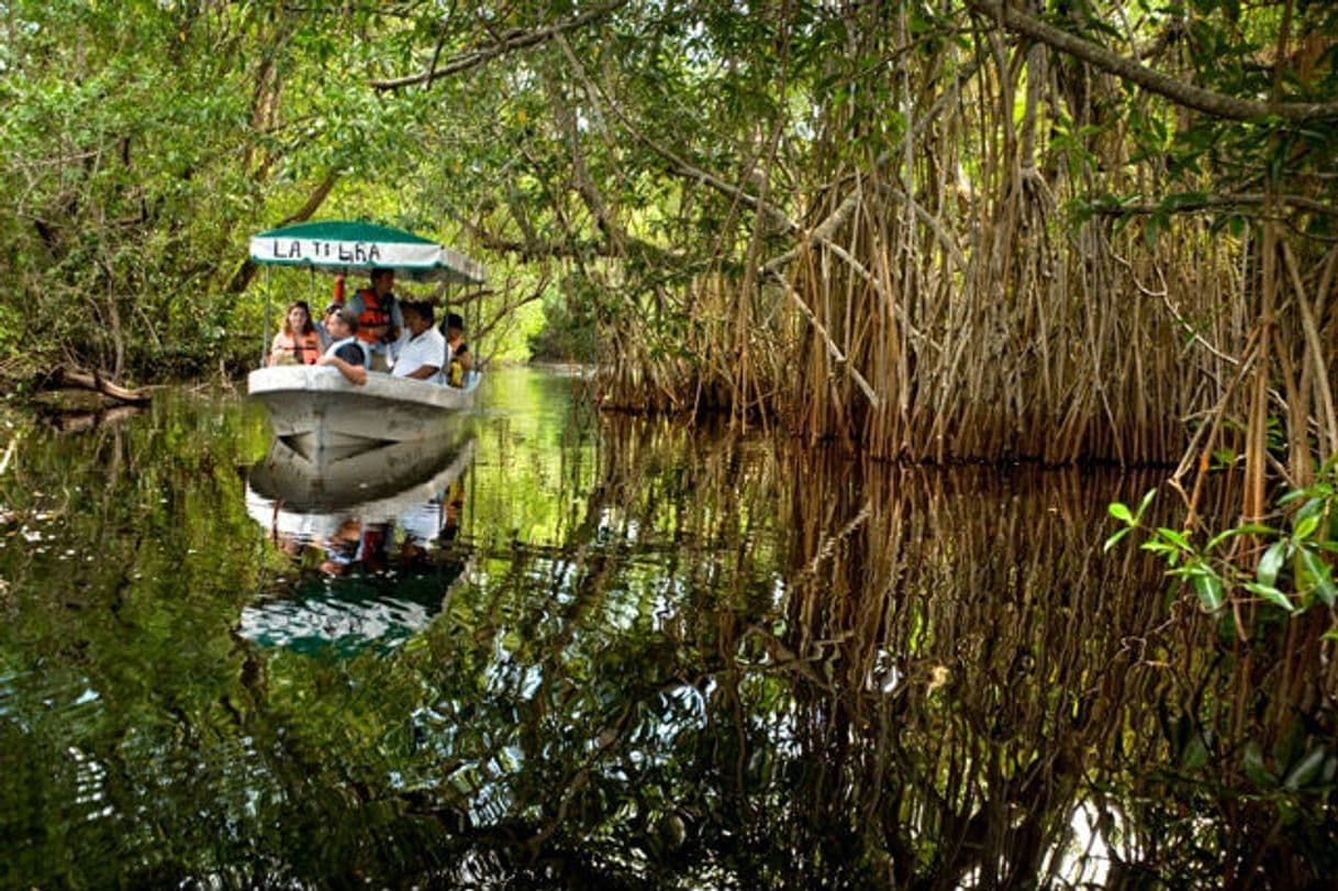 Lugar Pantanos de Centla