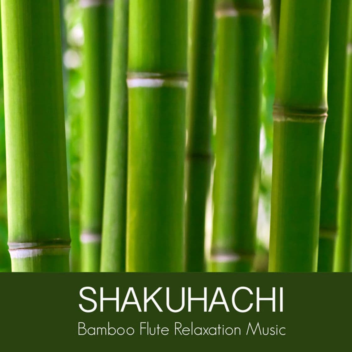 Canción Shakuhachi Bamboo Flute