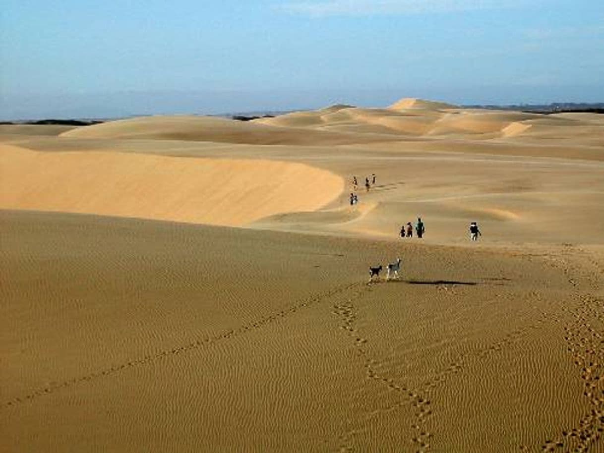 Lugar Médanos de Coro