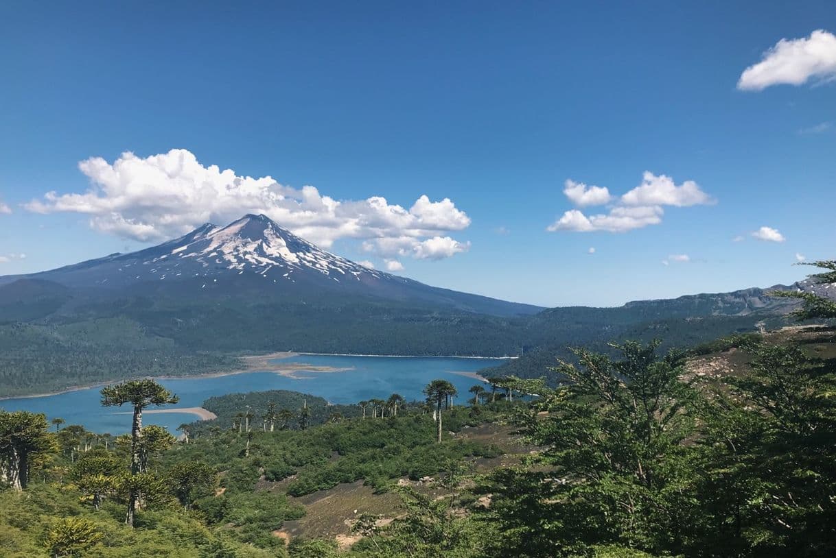 Place Parque Nacional Conguillio