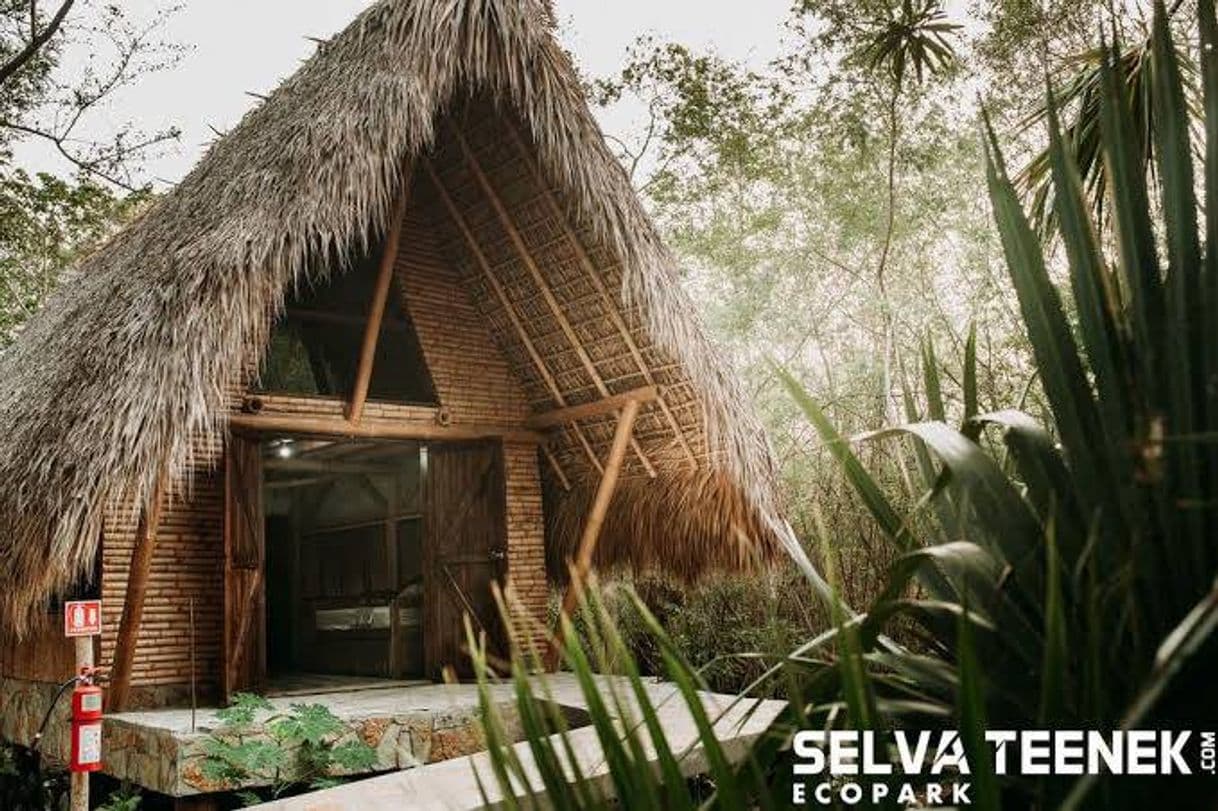 Lugar Selva Teenek Ecopark