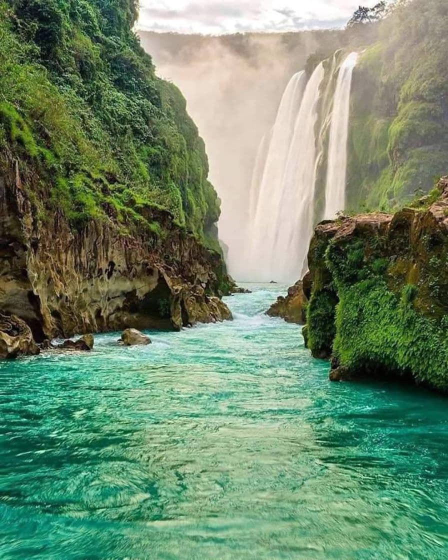 Lugar Cascada de Tamul