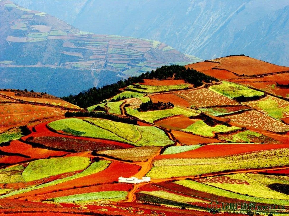 Place Dongchuan