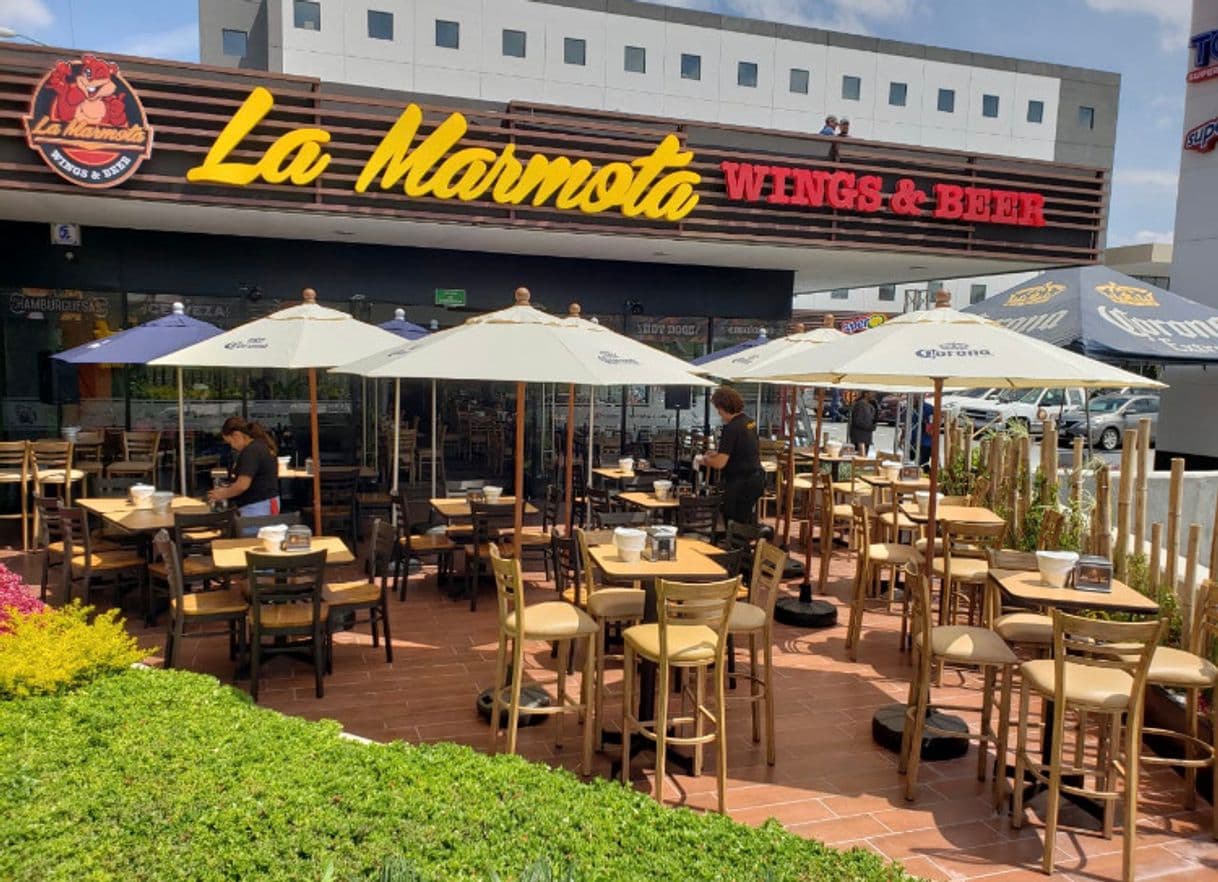 Restaurants La Marmota Cimatario