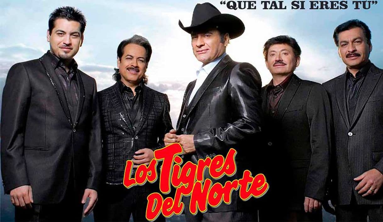 Canción Qué tal si eres tú - los tigres del Norte