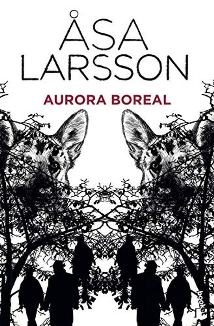 Book Aurora boreal