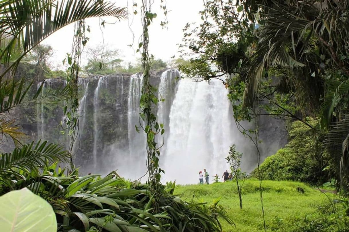 Lugar Cascada El Salto de Eyipantla