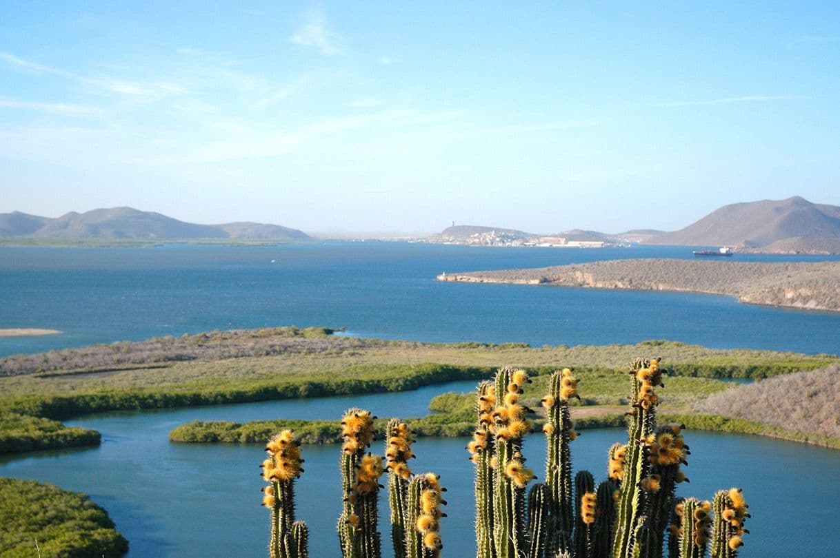 Place Topolobampo