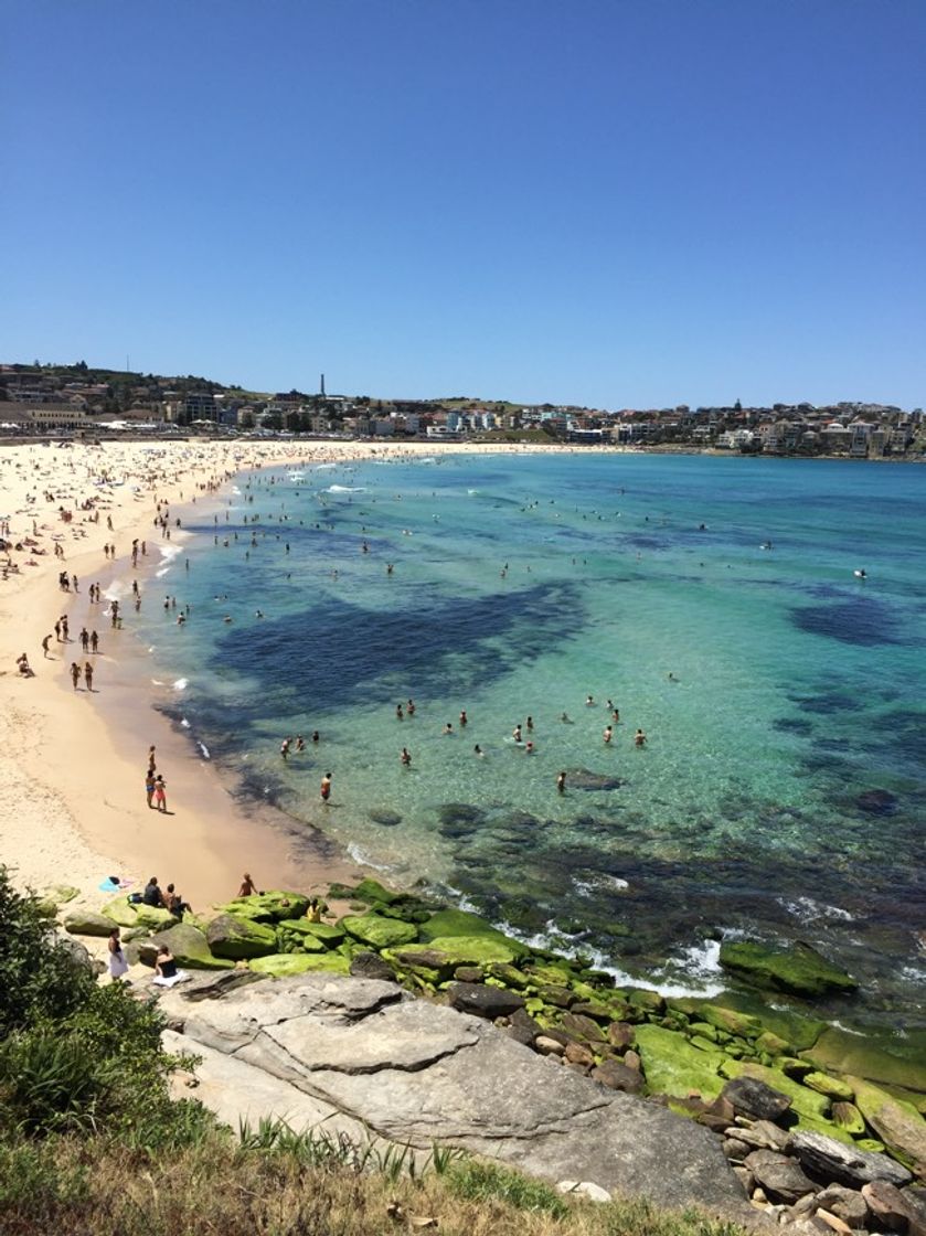 Lugar Bondi Beach