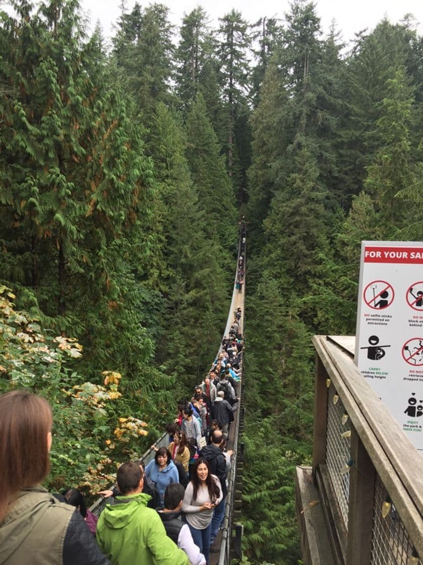 Lugar Capilano Suspension Bridge