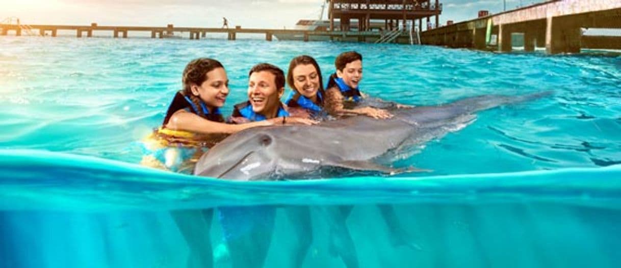 Lugar Dolphin Discovery Cozumel