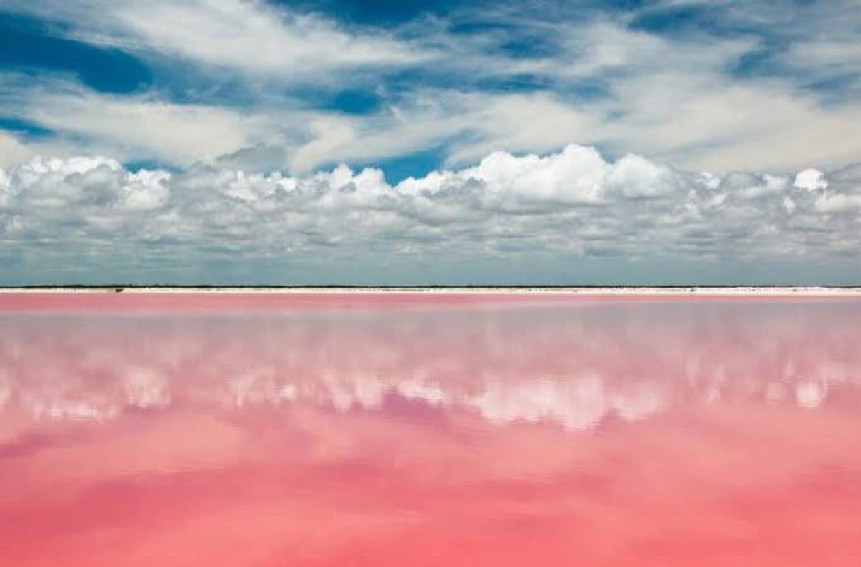 Lugar Las Coloradas Yucatan