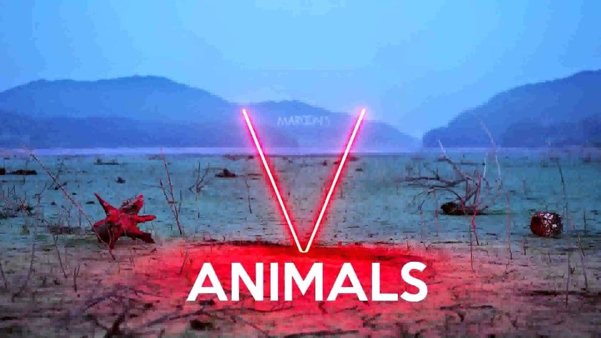 Music Animals