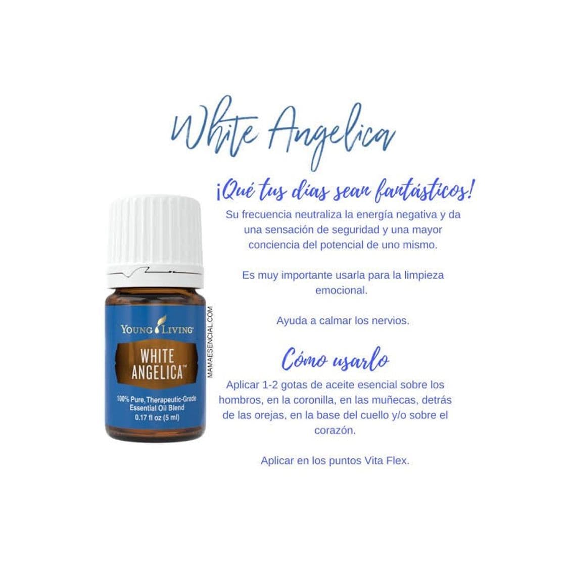 Producto White Angelica 