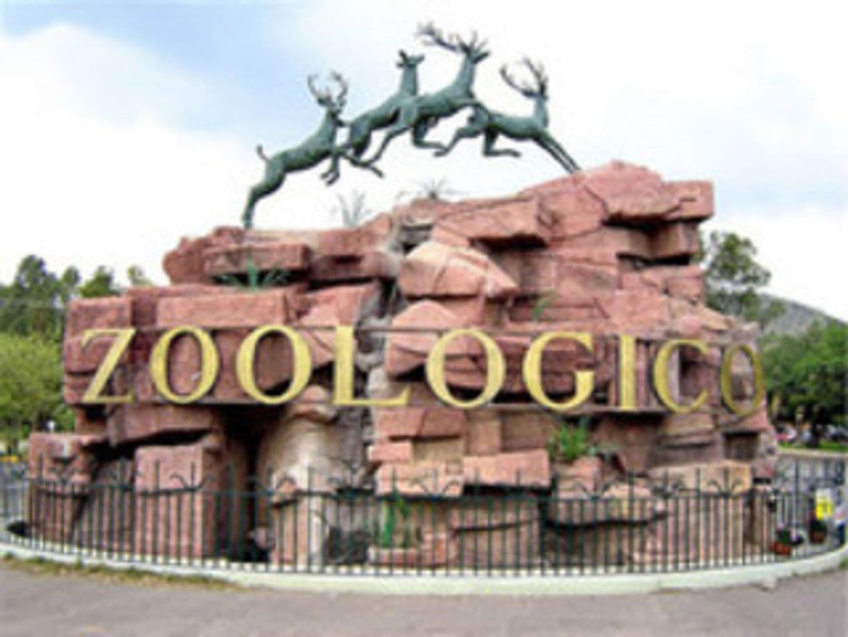 Place Zoologico