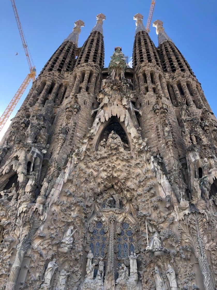 Lugar Basílica Sagrada Familia