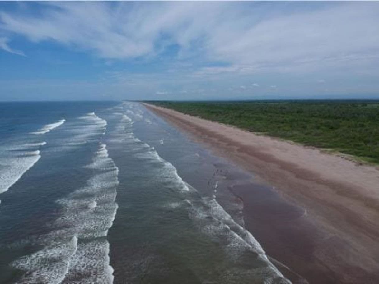 Place Playa Novillero NAYARIT