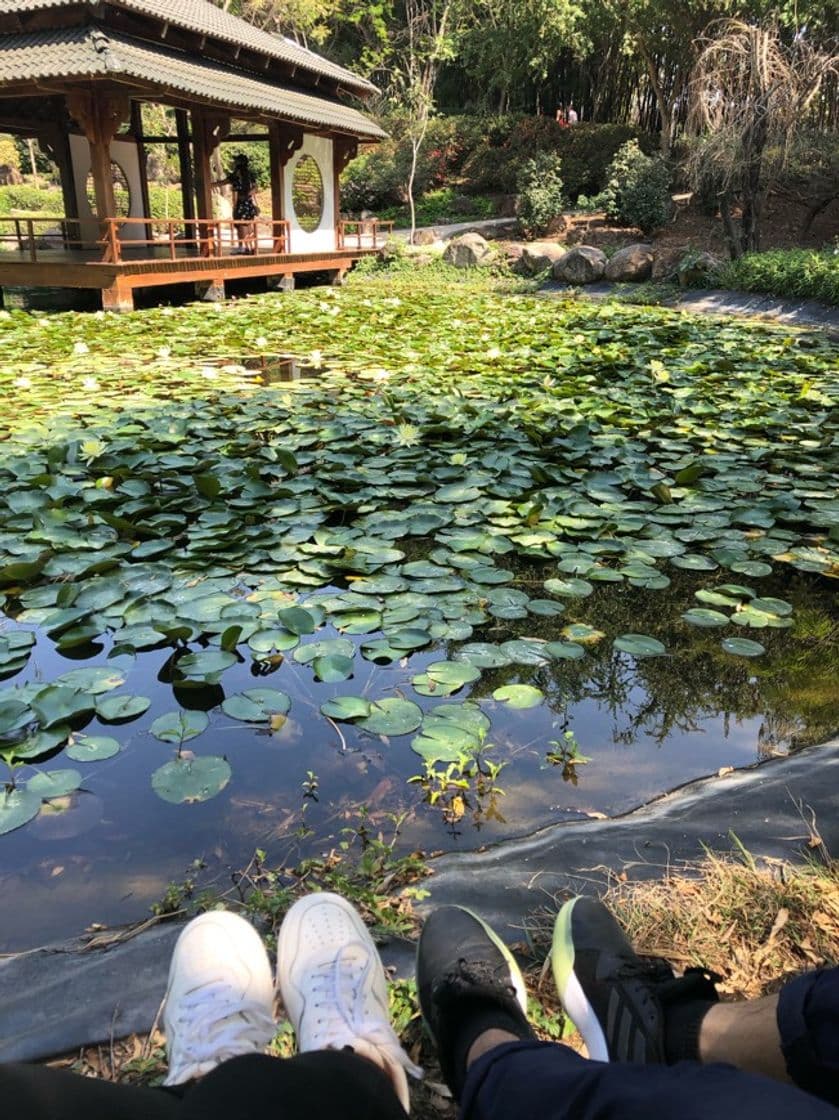 Place Jardines de México