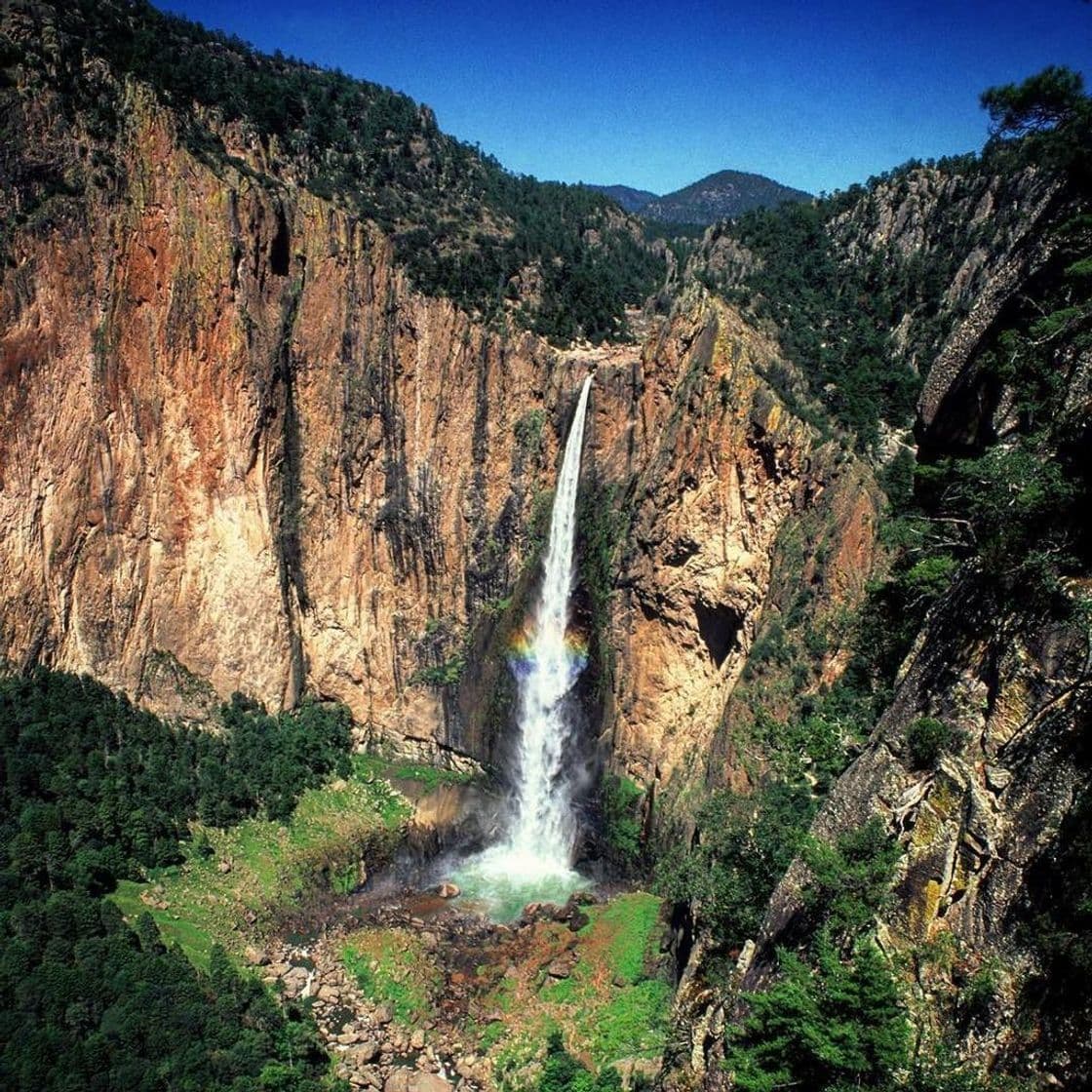 Place Cascada de Basaseachi