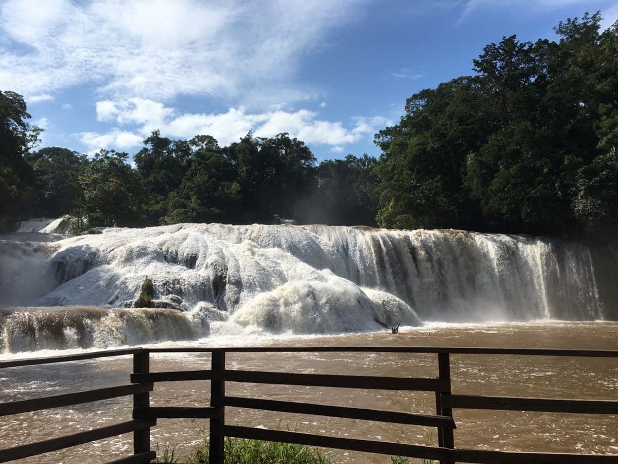 Lugar Cascadas de Agua Azul