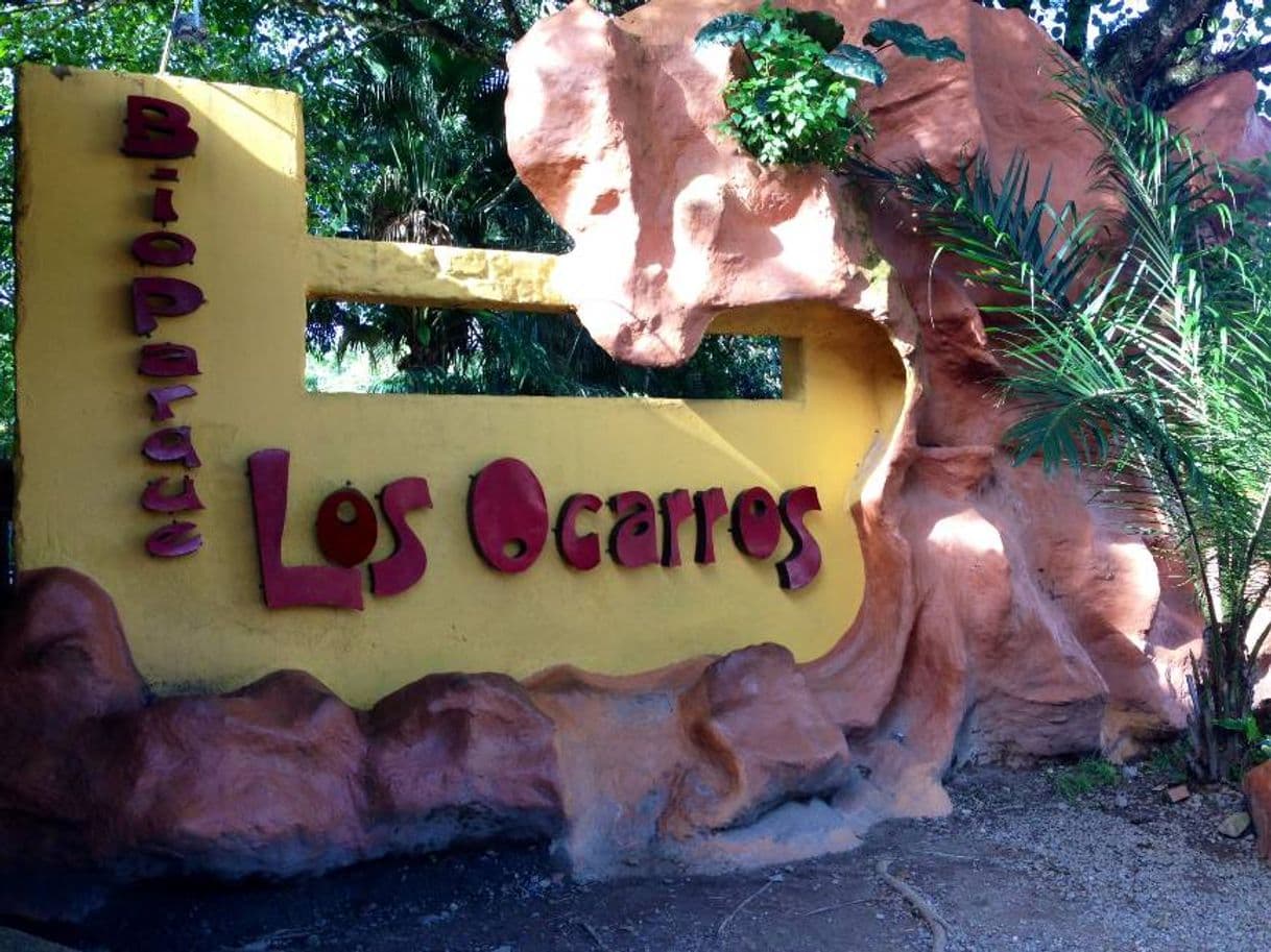 Lugar Bioparque Los Ocarros