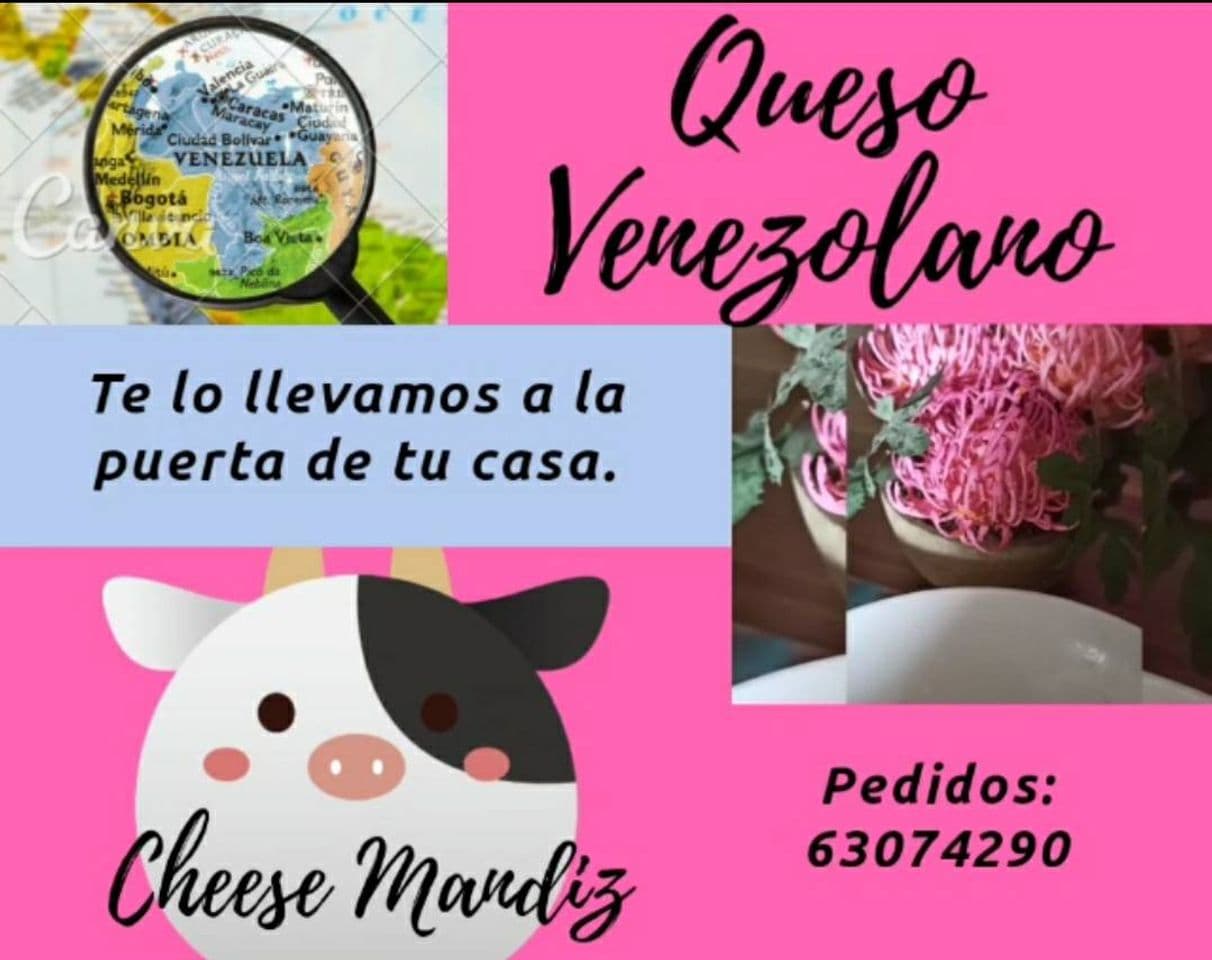 Moda Queso Venezolano!!