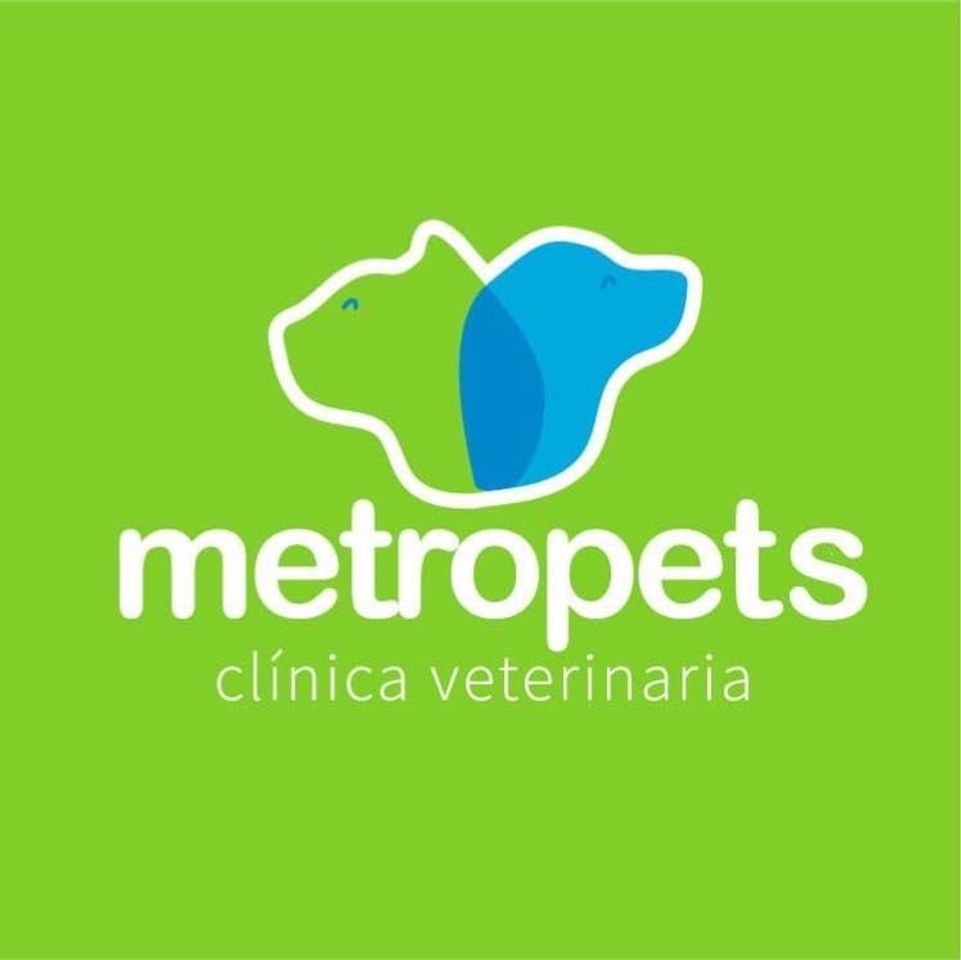 Fashion Veterinaria 