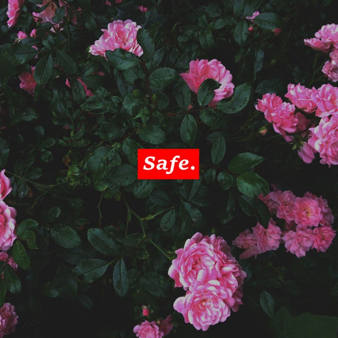 Music I'll Keep You Safe